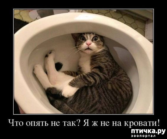 ���� 7: ������ ����, ����� 