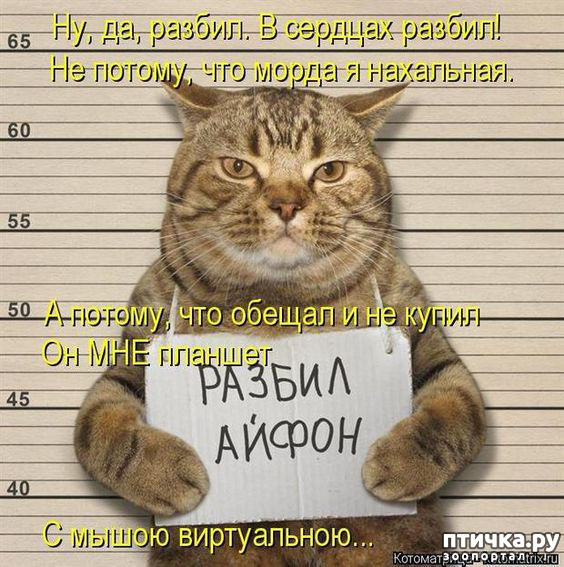 ���� 8: ������ ����, ����� 