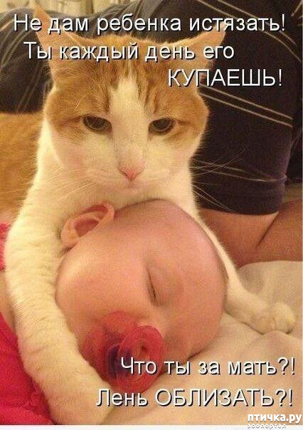 ���� 9: ������ ����, ����� 