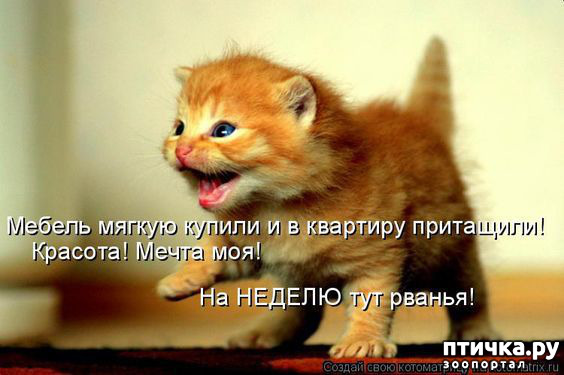 ���� 10: ������ ����, ����� 