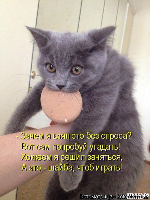 ���� 12: ������ ����, ����� 