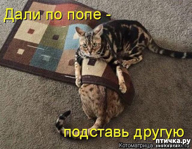 ���� 13: ������ ����, ����� 