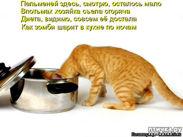 ���� 14: ������ ����, ����� 