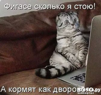 ���� 15: ������ ����, ����� 