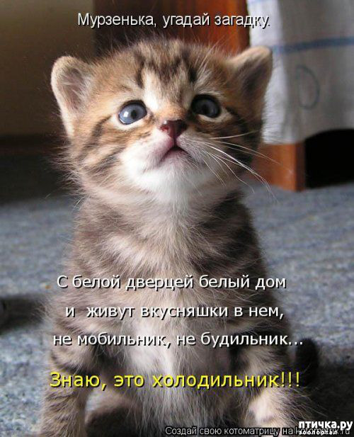 ���� 16: ������ ����, ����� 