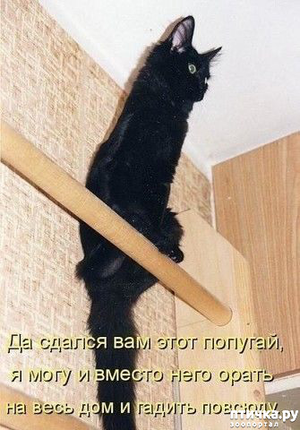 ���� 17: ������ ����, ����� 