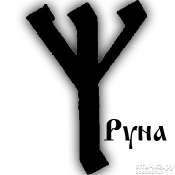 ���� 4: ���