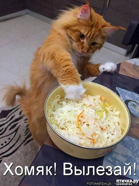 ���� 19: ������ ����, ����� 