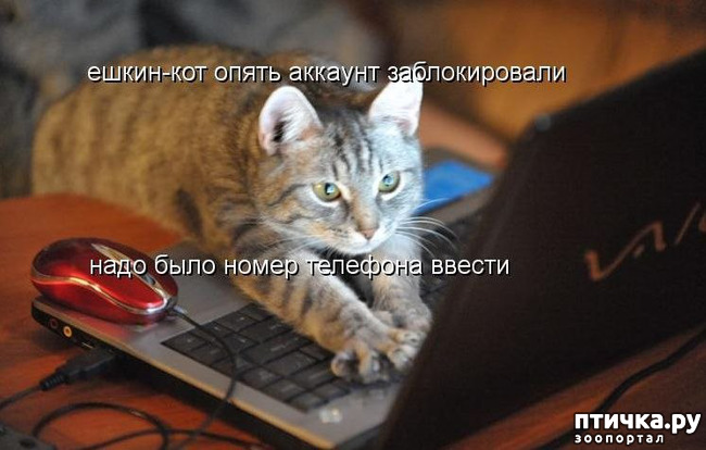 ���� 20: ������ ����, ����� 