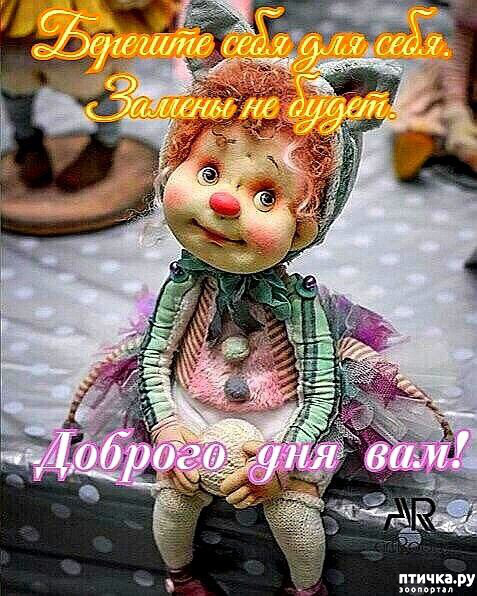 ���� 21: ������ ����, ����� 