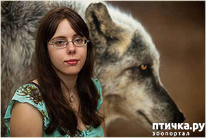 ����: �������� �������