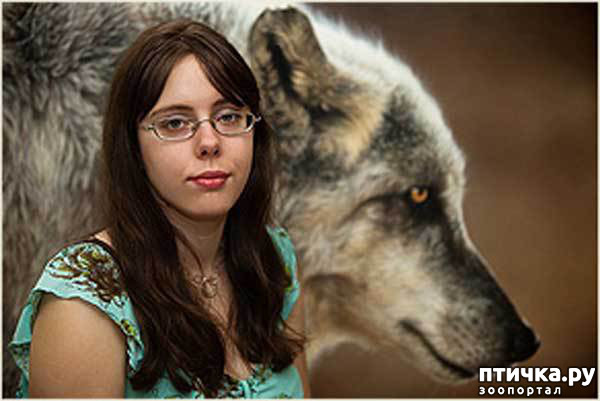 ���� 1: �������� �������