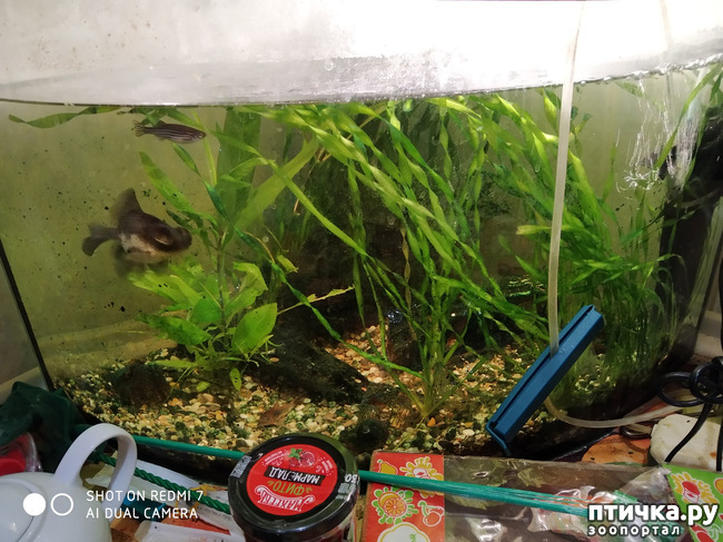 ���� 2: �������� �������: �������-���� 2020. ���� ���������.