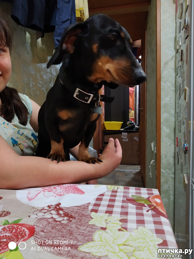 ���� 4: �������� �������: �������-���� 2020. ���� ���������.