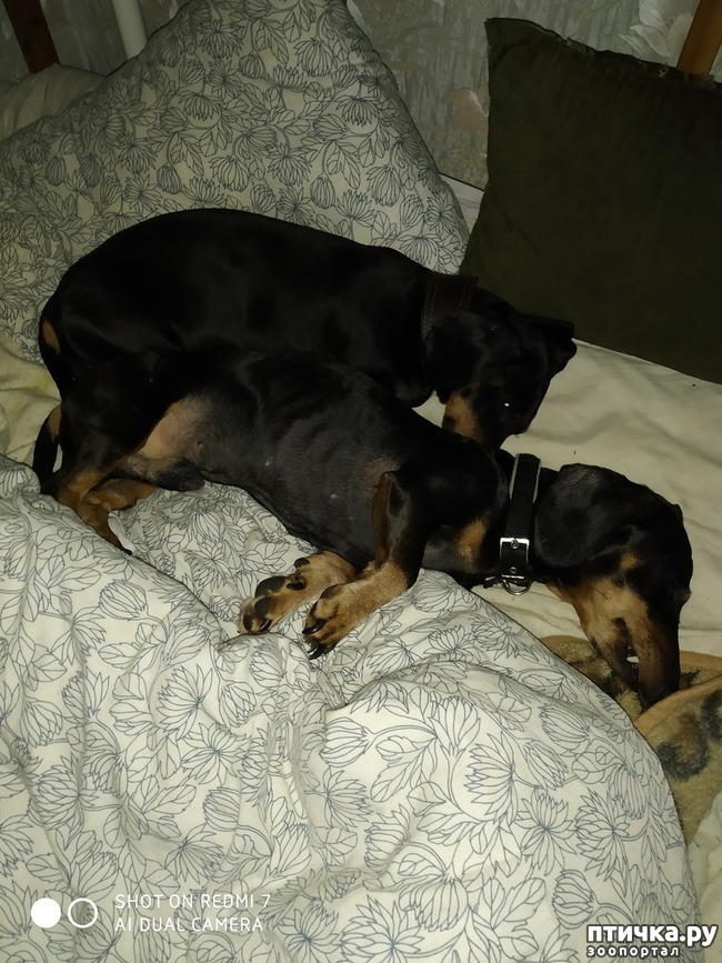 ���� 5: �������� �������: �������-���� 2020. ���� ���������.