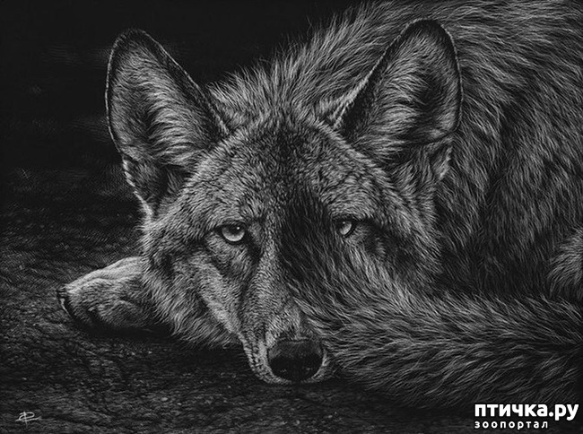 ���� 3: �������� �������