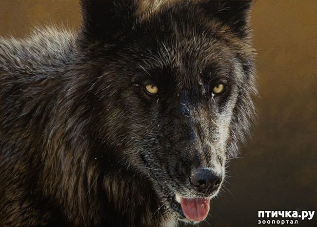 ���� 5: �������� �������