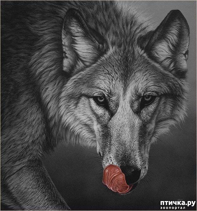 ���� 4: �������� �������