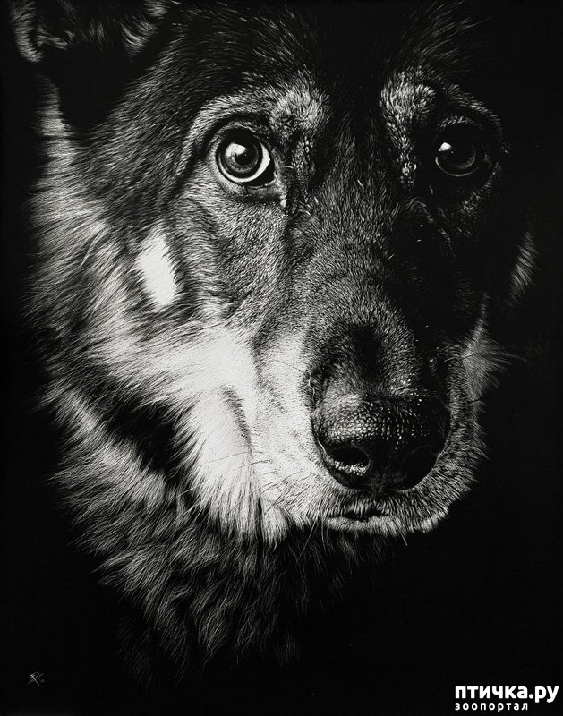 ���� 2: �������� �������