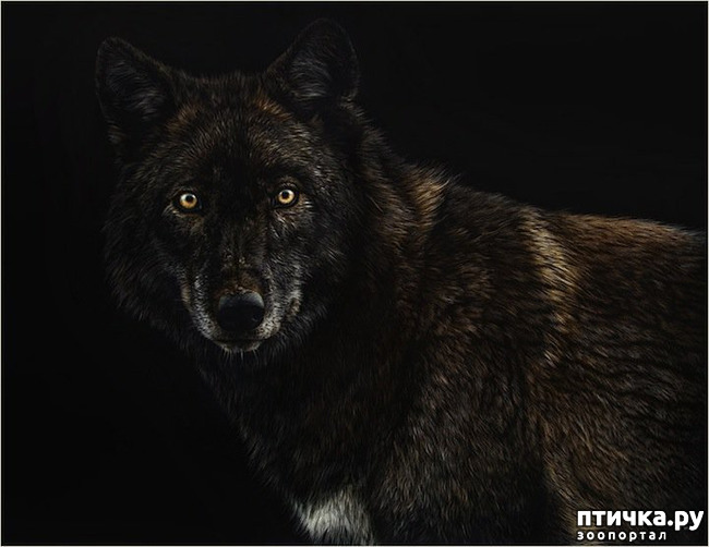 ���� 6: �������� �������