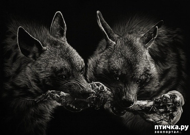 ���� 7: �������� �������