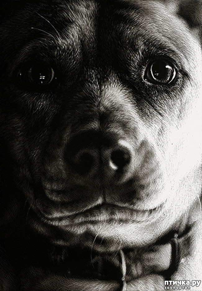 ���� 9: �������� �������