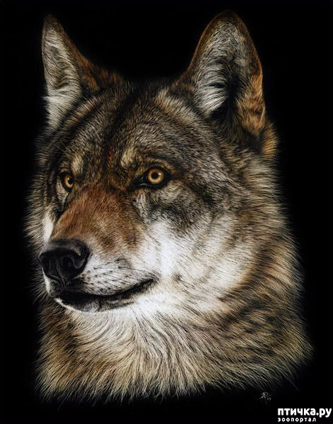 ���� 14: �������� �������