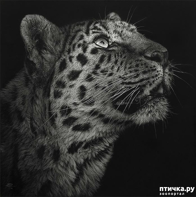 ���� 12: �������� �������