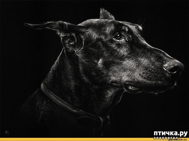 ���� 8: �������� �������