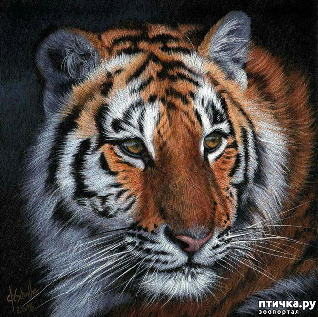 ���� 15: �������� �������