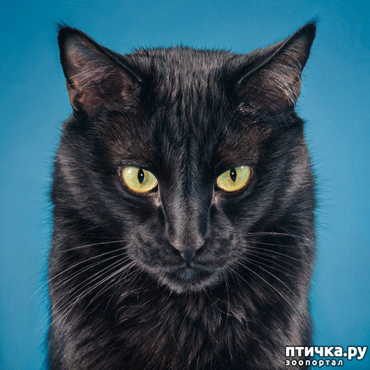 ���� 16: �������� �������