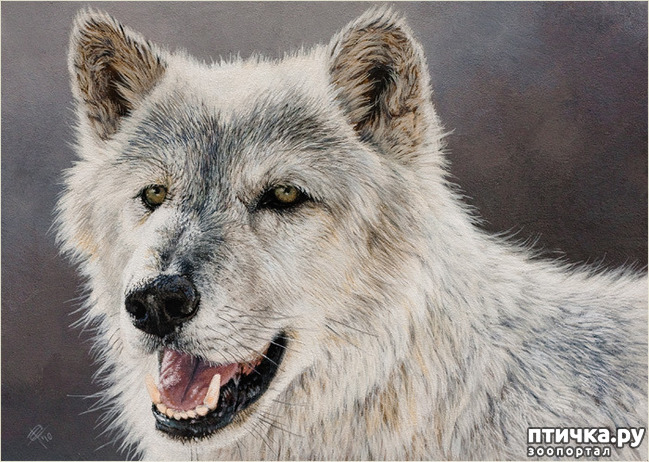 ���� 11: �������� �������