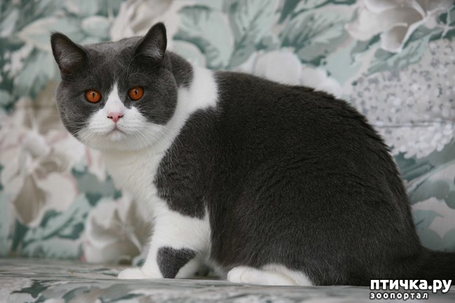 ���� 6: ����� 