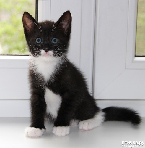 ���� 7: ����� 