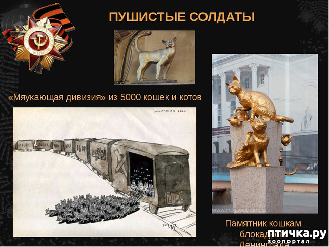 фото 8: Коты в блокадном Ленинграде