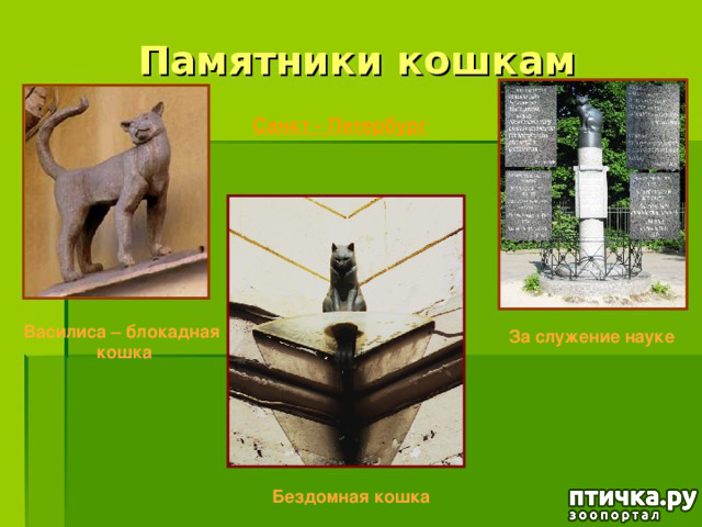 фото 12: Коты в блокадном Ленинграде