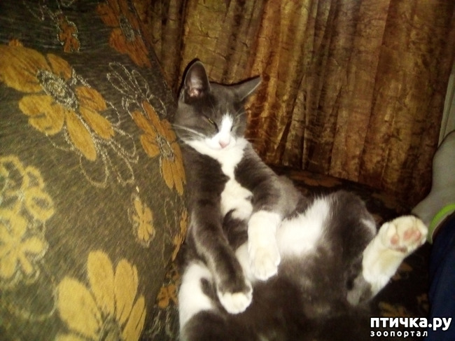 ���� 2: ����� 