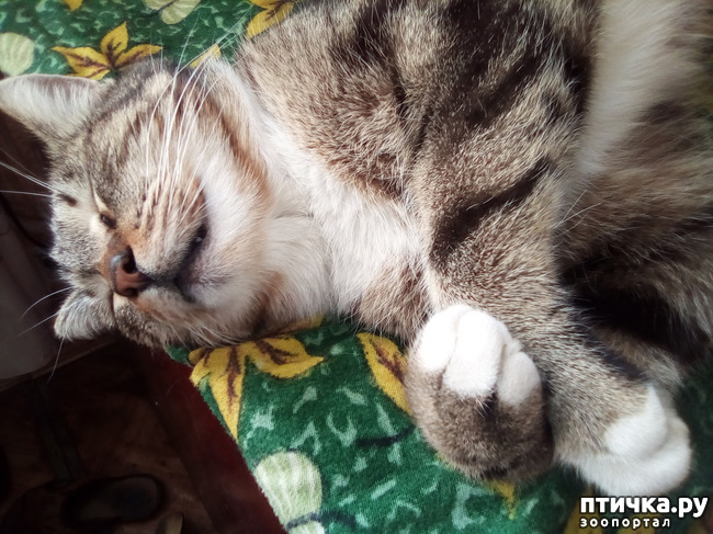 ���� 3: ����� 