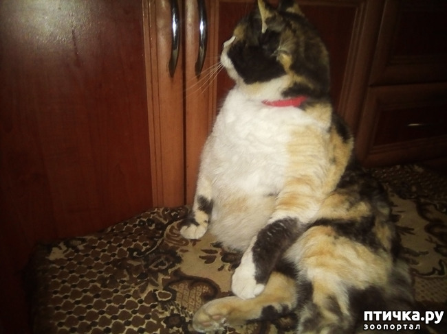 ���� 4: ����� 