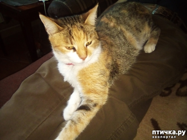 ���� 5: ����� 