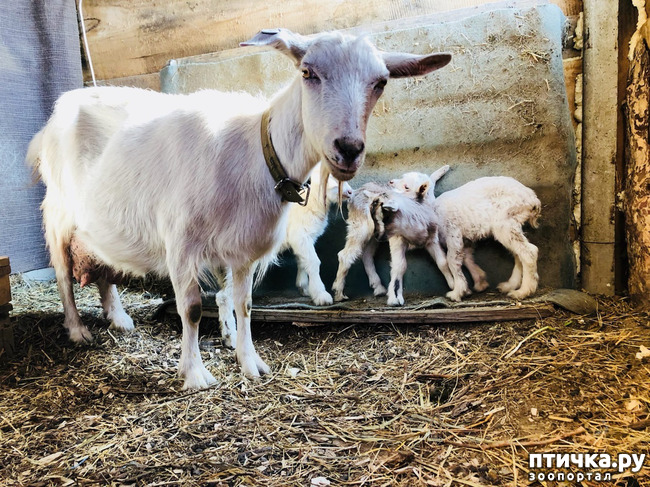 ���� 2: ��������� �������