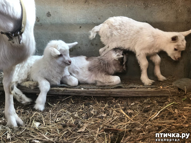 ���� 3: ��������� �������