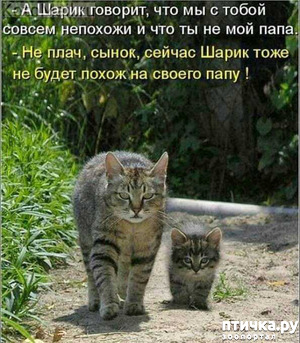 ����: ������� ����� � ����������� ��������������