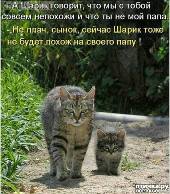 ���� 1: ������� ����� � ����������� ��������������