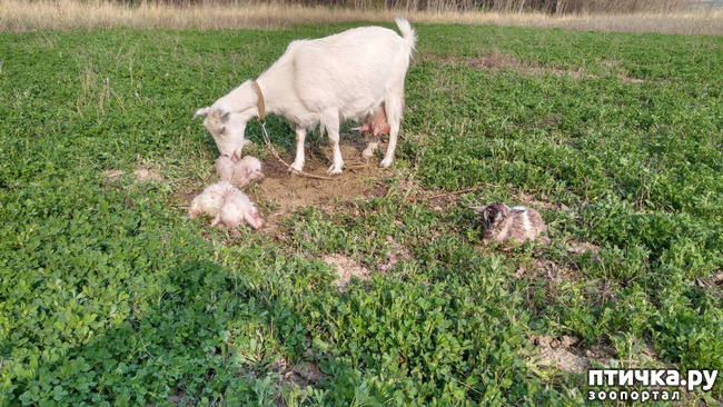 ���� 5: ��������� �������