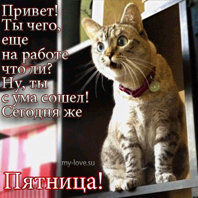 ���� 2: � �������� ���, ����� 