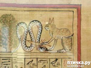 ���� 4: ������ � ������ � �����