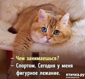 ���� 3: � �������� ���, ����� 