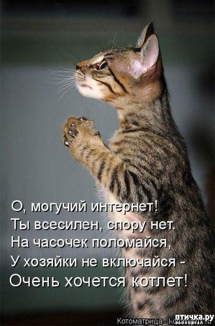 ���� 4: � �������� ���, ����� 