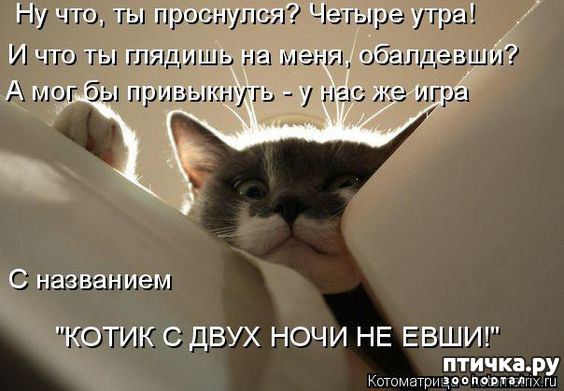 ���� 5: � �������� ���, ����� 